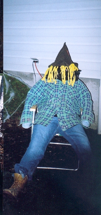 suz_dummy.jpg